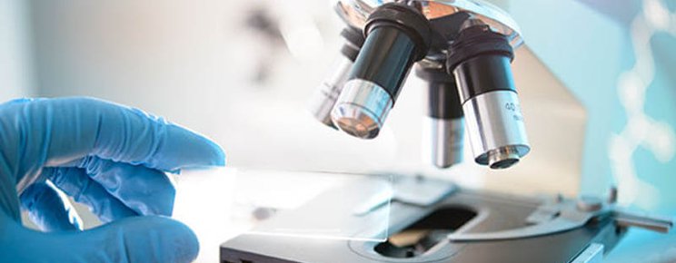 Scientifico e Scienze Applicate 2.jpg